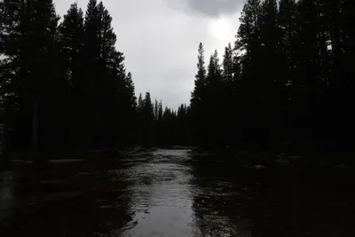 DSC_4483 (Large).JPG